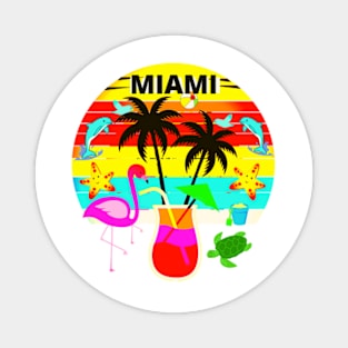 MIAMI Magnet